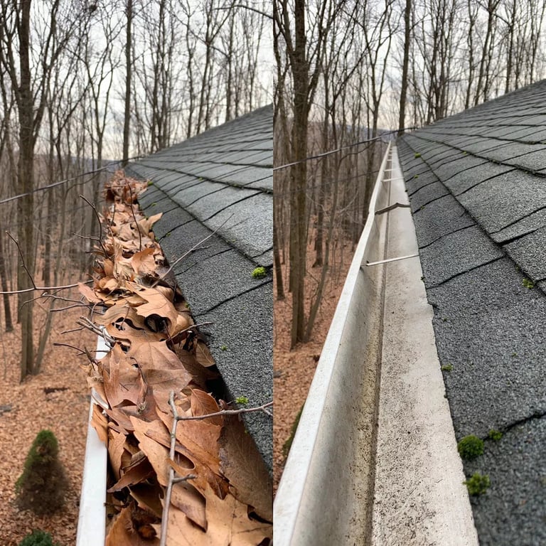 Gutter filled with brown leaves and debris next to a metal roof with bare trees in background